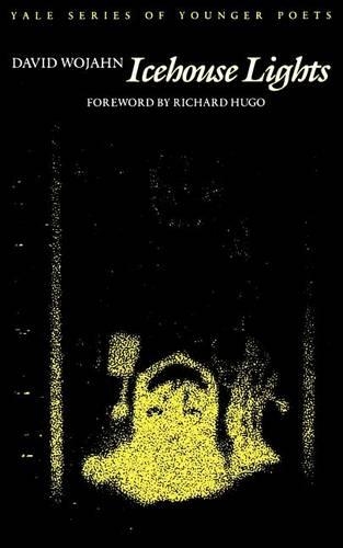 Бумажная книга «Icehouse Lights», автор Дэвид Воян - фото №1