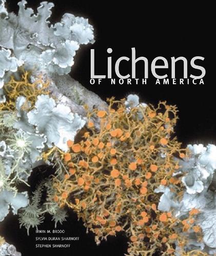 Бумажная книга «Lichens of North America», авторов Ирвин М. Бродо, Стивен Шарнофф, Сильвия Дюран Шарнофф - фото №1