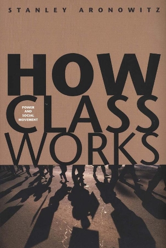 Паперова книга «How Class Works: Power and Social Movement», автор Стенлі Аронович - фото №1