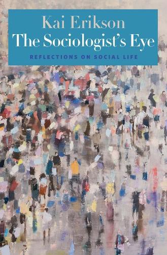 Бумажная книга «The Sociologist’s Eye: Reflections on Social Life», автор Кай Т. Эриксон - фото №1