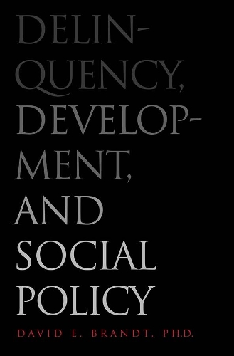 Бумажная книга «Delinquency, Development, and Social Policy», автор Дэвид Э. Брандт - фото №1