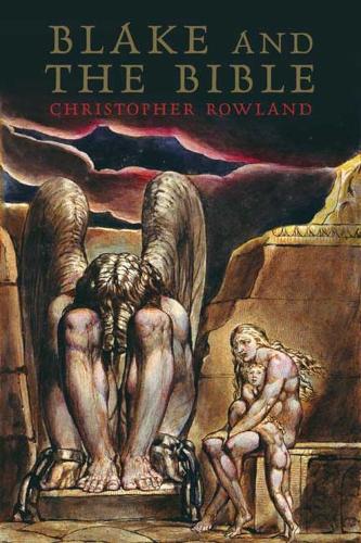 Бумажная книга «Blake and the Bible», автор Кристофер Роуленд - фото №1