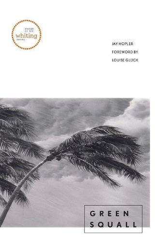 Паперова книга «Green Squall», автор Джей Хоплер - фото №1
