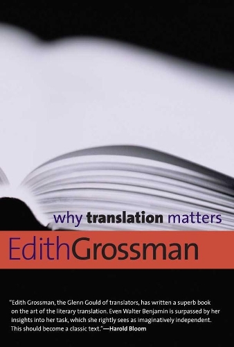 Паперова книга «Why Translation Matters», автор Едіт Гроссман - фото №1