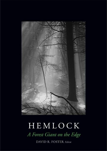 Бумажная книга «Hemlock: A Forest Giant on the Edge», авторов Аарон М. Эллисон, Энтони Д'Амато, Одри Баркер Плоткин, Бенджамин Байзер, Дэвид Орвиг, Джонатан Томпсон, Уайетт Освальд - фото №1
