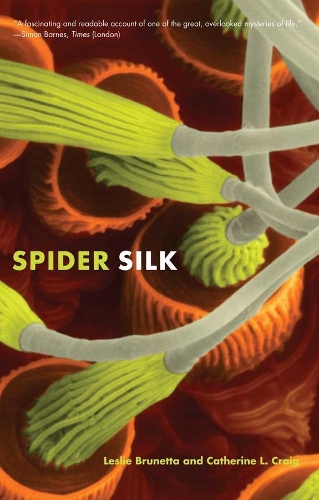 Бумажная книга «Spider Silk: Evolution and 400 Million Years of Spinning, Waiting, Snagging, and Mating», автор Лесли Брунетта - фото №1