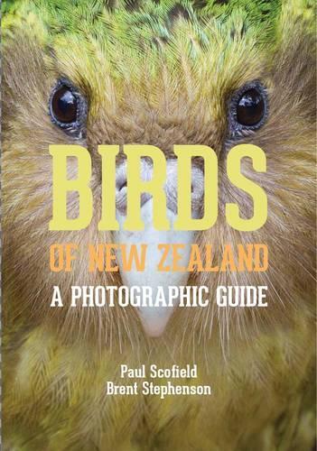 Бумажная книга «Birds of New Zealand: A Photographic Guide», авторов Брент Стивенсон, Пол Скофилд - фото №1