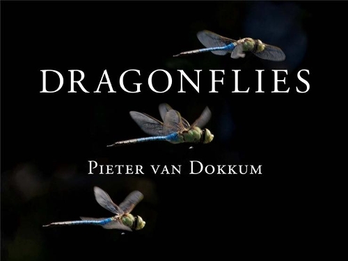 Бумажная книга «Dragonflies: Magnificent Creatures of Water, Air, and Land», автор Питер ван Доккум - фото №1