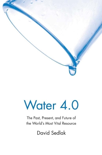 Бумажная книга «Water 4.0: The Past, Present, and Future of the World's Most Vital Resource», автор Дэвид Седлак - фото №1