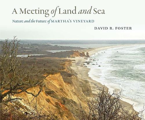 Бумажная книга «A Meeting of Land and Sea: Nature and the Future of Martha’s Vineyard», автор Дэвид Р. Фостер - фото №1