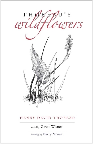 Бумажная книга «Thoreau's Wildflowers», автор Генри Дэвид Торо - фото №1