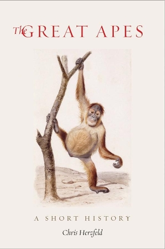 Паперова книга «The Great Apes: A Short History», автор Кріс Герцфельд - фото №1