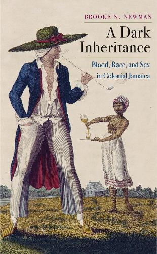 Бумажная книга «A Dark Inheritance: Blood, Race, and Sex in Colonial Jamaica», автор Брук Н. Ньюман - фото №1