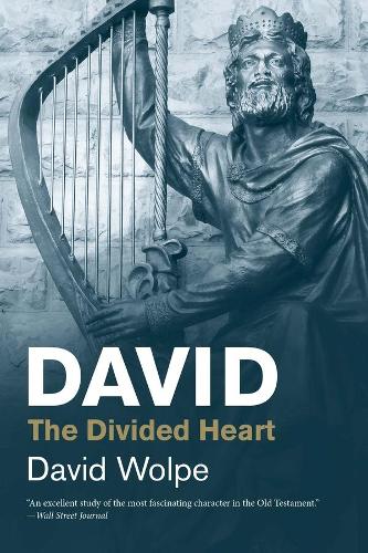 Бумажная книга «David: The Divided Heart», автор Дэвид Вольпе - фото №1