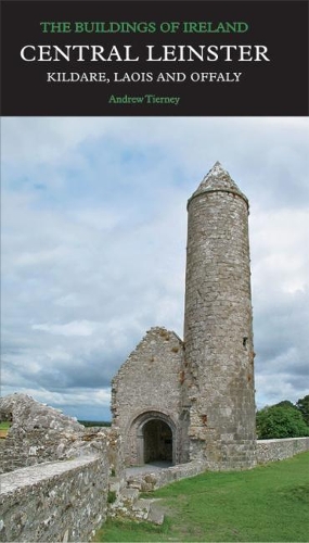 Бумажная книга «Central Leinster: Kildare, Laois and Offaly», автор Эндрю Тирни - фото №1