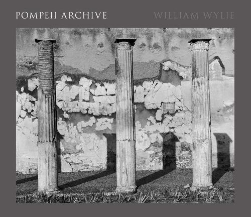 Бумажная книга «Pompeii Archive», автор Уильям Уайли - фото №1