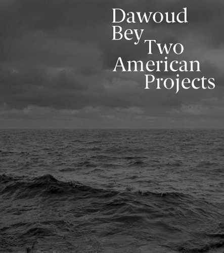 Бумажная книга «Dawoud Bey: Two American Projects», авторов Кори Келлер, Элизабет Шерман - фото №1