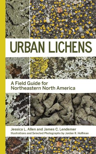 Паперова книга «Urban Lichens: A Field Guide for Northeastern North America», авторів Джеймс К. Лендемер, Джессіка Л Аллен - фото №1