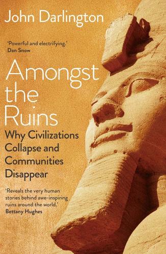 Бумажная книга «Amongst the Ruins: Why Civilizations Collapse and Communities Disappear», автор Джон Дарлингтон - фото №1