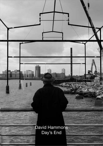 Бумажная книга «David Hammons: Day's End», авторов Адам Д. Вайнберг, Бен Окри, Келли Джонс - фото №1