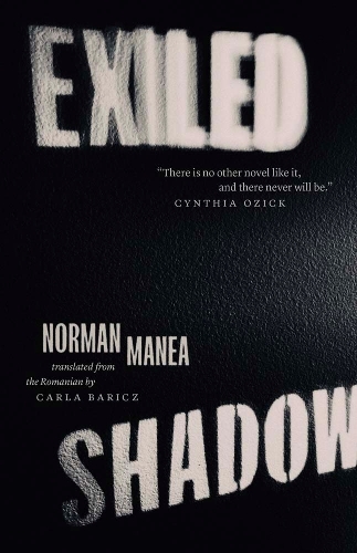 [object Object] «Exiled Shadow», автор Норман Манеа - фото №1