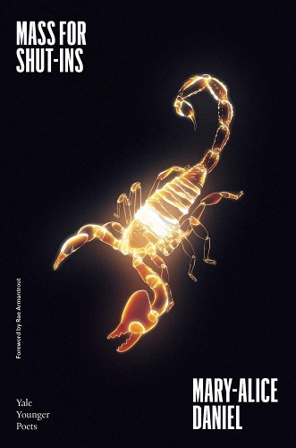 Бумажная книга «Mass for Shut-Ins», автор Мэри-Элис Дэниел - фото №1