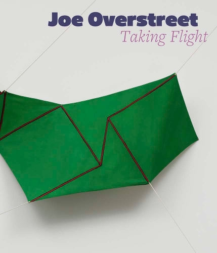 Паперова книга «Joe Overstreet: Taking Flight», автор Наталі Дюпешер - фото №1