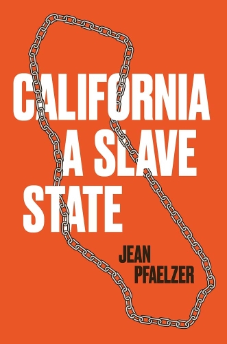 Паперова книга «California, a Slave State», автор Жан Пфаельзер - фото №1