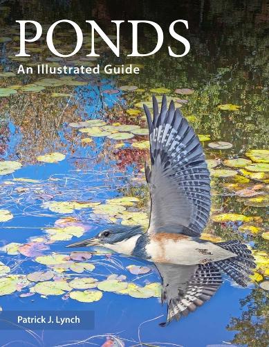 Бумажная книга «Ponds: An Illustrated Guide», автор Патрик Дж. Линч - фото №1
