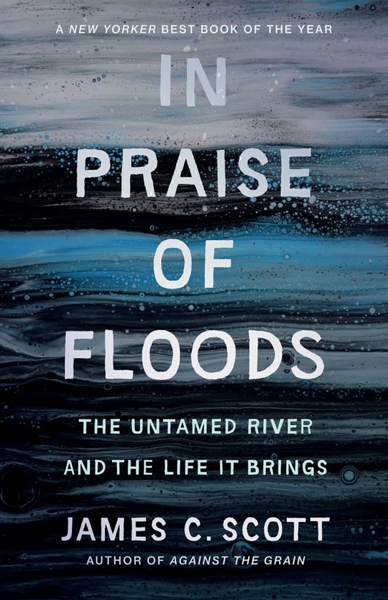 Бумажная книга «In Praise of Floods», автор Джеймс К. Скотт - фото №1