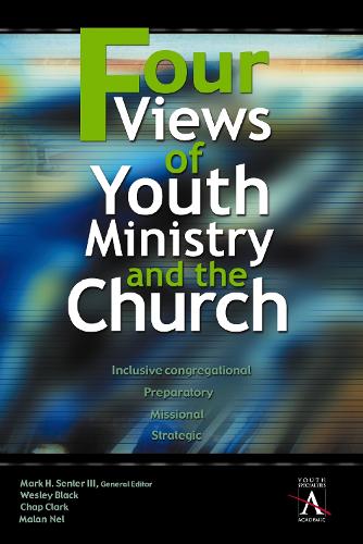 Бумажная книга «Four Views of Youth Ministry and the Church: Inclusive Congregational, Preparatory, Missional, Strategic», авторов Чап Кларк, Малан Нел, Уэсли Блэк - фото №1