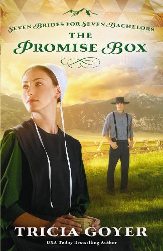 Паперова книга «The Promise Box», автор Тріша Гоєр - фото №1