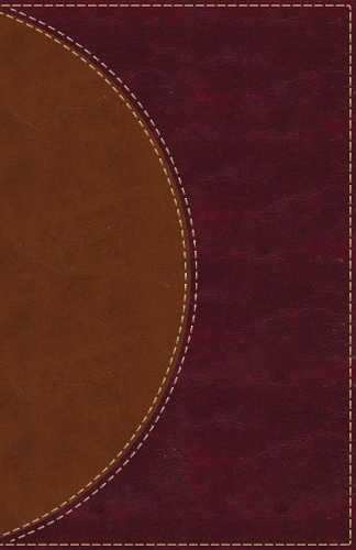 [object Object] «Amplified Reading Bible, Leathersoft, Brown, Thumb Indexed: A Paragraph-Style Amplified Bible for a Smoother Reading Experience», автор Zondervan - фото №1