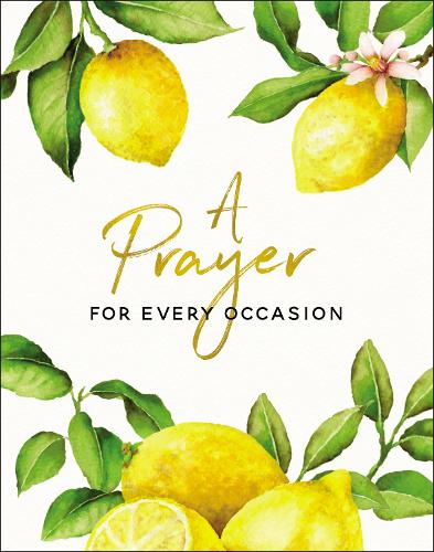 Бумажная книга «A Prayer for Every Occasion», автор Кэрри Маррс - фото №1