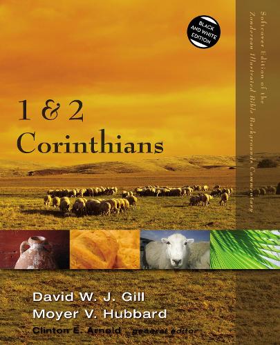 Паперова книга «1 and 2 Corinthians», авторів Девід В. Дж. Гілл, Мойєр В. Хаббард - фото №1