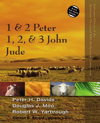 Паперова книга «1 and 2 Peter, Jude, 1, 2, and 3 John», авторів Пітер Х. Девідс, Роберт Ярброу - фото №1