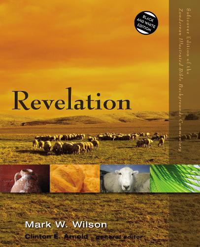Бумажная книга «Revelation», автор Марк У. Уилсон - фото №1