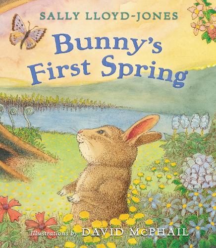 Паперова книга «Bunny's First Spring», автор Саллі Ллойд-Джонс - фото №1