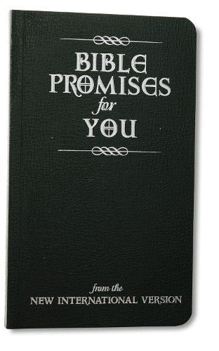Бумажная книга «Bible Promises for You: from the New International Version», автор Zondervan - фото №1