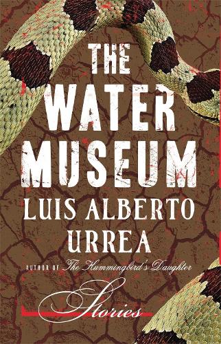 Бумажная книга «The Water Museum: Stories», автор Луис Альберто Урреа - фото №1
