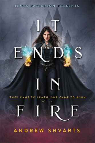 Бумажная книга «It Ends in Fire», автор Эндрю Шварц - фото №1