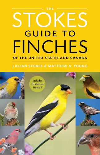 Бумажная книга «The Stokes Guide to Finches of the United States and Canada», авторов Лилиан Стоукс, Мэтью А. Янг - фото №1