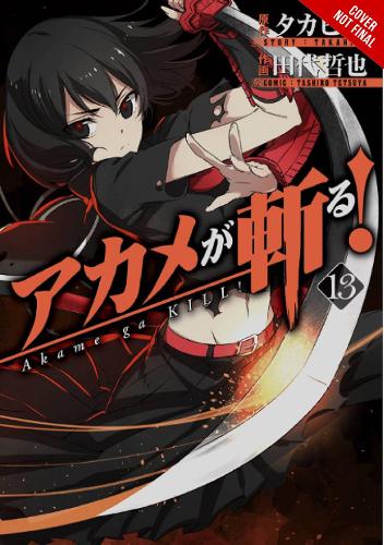Паперова книга «Akame ga KILL!, Vol. 13», авторів Крістін Дашіелл, Такахіро, Тецуя Тасіро - фото №1