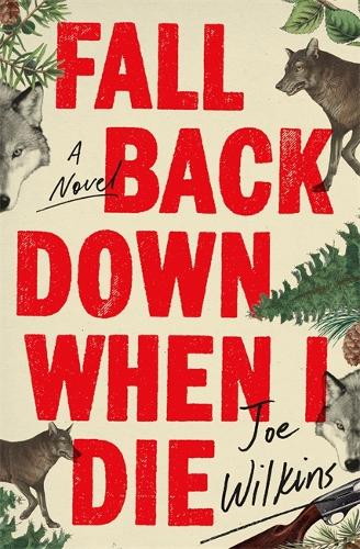 Паперова книга «Fall Back Down When I Die», автор Джо Вілкінс - фото №1
