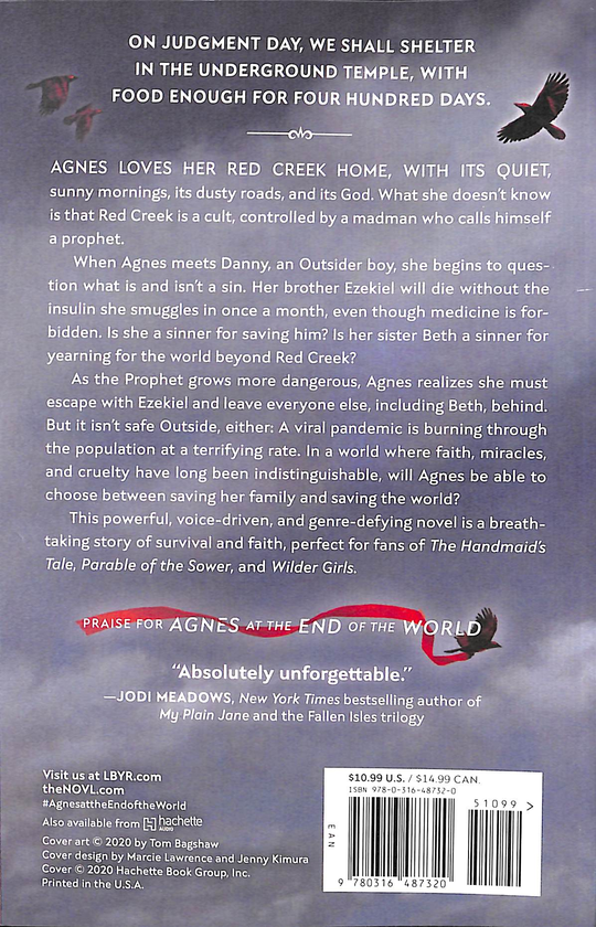 Бумажная книга «Agnes at the End of the World», автор Келли МакУильямс - фото №1