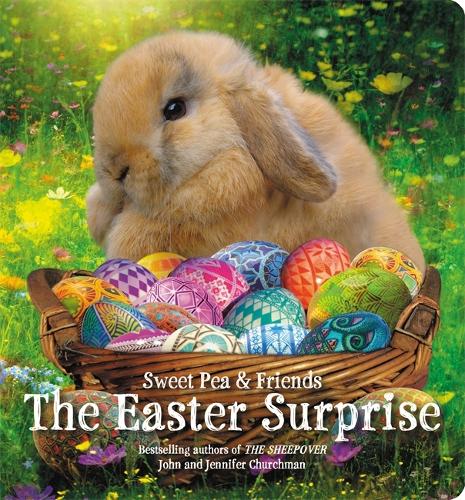 Паперова книга «The Easter Surprise», авторів Дженніфер Черчмен, Джон Черчмен - фото №1