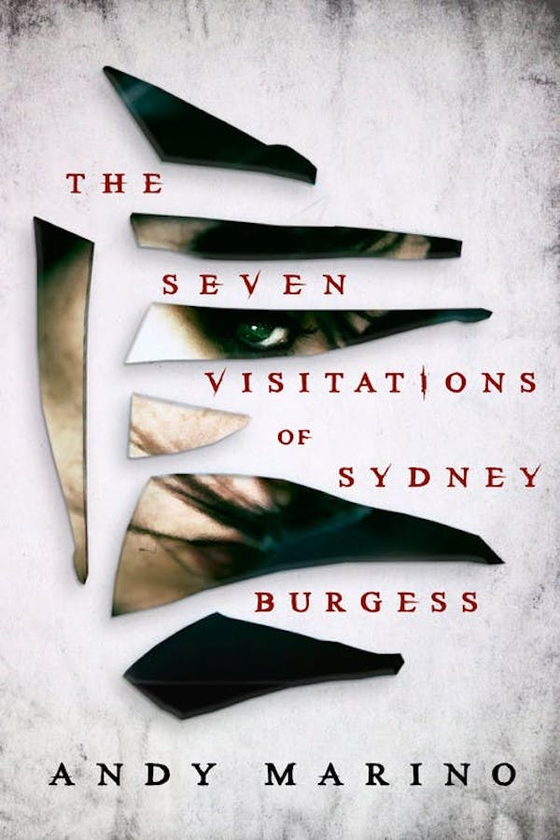 Паперова книга «The Seven Visitations of Sydney Burgess», автор Енді Маріно - фото №1