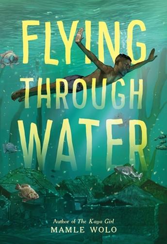 Паперова книга «Flying through Water», автор Мамле Воло - фото №1