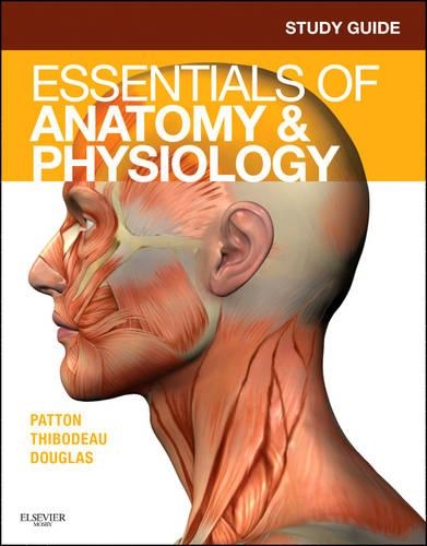 Паперова книга «Study Guide for Essentials of Anatomy & Physiology», автор Ендрю Кейс - фото №1