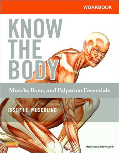 Паперова книга «Workbook for Know the Body: Muscle, Bone, and Palpation Essentials», автор Джозеф Е. Мусколіно - фото №1